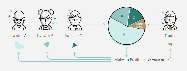 how-social-trading-works-exness