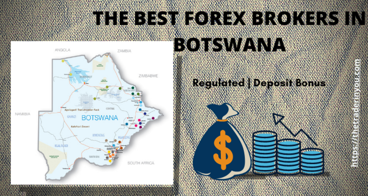 forex trading for beginners in south africa