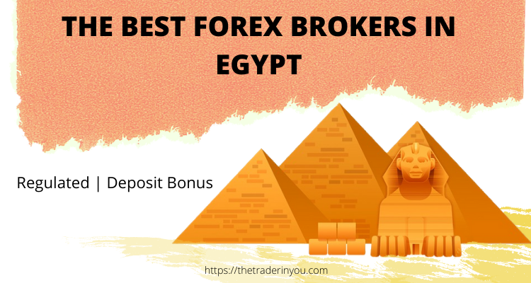 forex companies in egypt